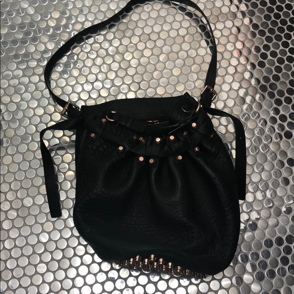 Alexander Wang bucket bag